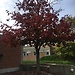 university Campus