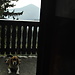 Urodziny, Piatra Craiului#2, Black Salami, Ass-sliding#2