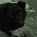 Urodziny, Piatra Craiului#2, Black Salami, Ass-sliding#2