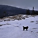 Urodziny, Piatra Craiului#2, Black Salami, Ass-sliding#2