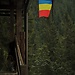 Urodziny, Piatra Craiului#2, Black Salami, Ass-sliding#2