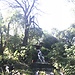 Morelia