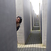 Vacaciones en Berlin/Alemania