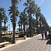 Valencia Beaches - Where to go and What to do
