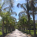 Valencia - Studium an der UPV