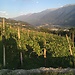 Valtellina