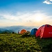 Vegan Campout 2019 in Nottingham