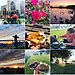 Vegan Campout 2019 in Nottingham