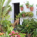 Vejer de la Frontera