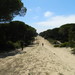 Vejer de la Frontera