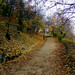 Viaje a Budapest (Final)