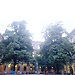 Viena y su musica