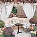 Vintage Garden
