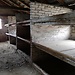 Visita a Auschwitz-Birkenau