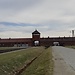 Visita a Auschwitz-Birkenau