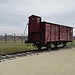 Visita a Auschwitz-Birkenau