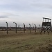 Visita a Auschwitz-Birkenau