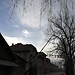 Visita a Auschwitz-Birkenau