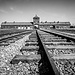 Visita Auschwitz