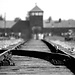 Visita Auschwitz
