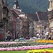 Brasov