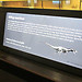 Visiting the Museum of Natural History Vienna (pt1)