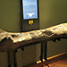 Visiting the Museum of Natural History Vienna (pt1)