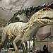 Visiting the Museum of Natural History Vienna (pt1)