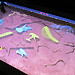 Visiting the Museum of Natural History Vienna (pt1)
