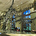 Visiting the Museum of Natural History Vienna (pt1)