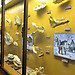 Visiting the Museum of Natural History Vienna (pt1)