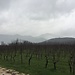 Visiting winery in the suburbs of Naples