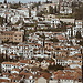 Vista della città