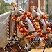 Vive Jerez de la Frontera como erasmus