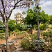 Vive Jerez de la Frontera como erasmus