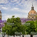 Vive Jerez de la Frontera como erasmus