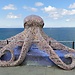 Vivere a La Coruña, Spagna di Rubén