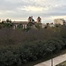 Valencia