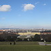 Walking in the Schönbrunn Park