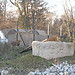 Walking around trees and animals
