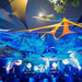 Hill top (Night club)