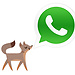 WhatsApp e a sua importância em Itália!