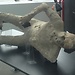 Włochy z erasmusem - kołchoz z pojedynczymi palmami