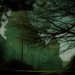 Włosko-polski autostop#2 - Hunedoara