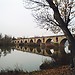 Zamora