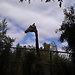 Zoo a Fuorteventura