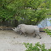 Zoo Safari in Italy? Yes, please!