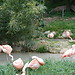 Zoo Safari in Italy? Yes, please!