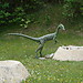 Zoo Safari in Italy? Yes, please!