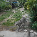 Zoo Safari in Italy? Yes, please!